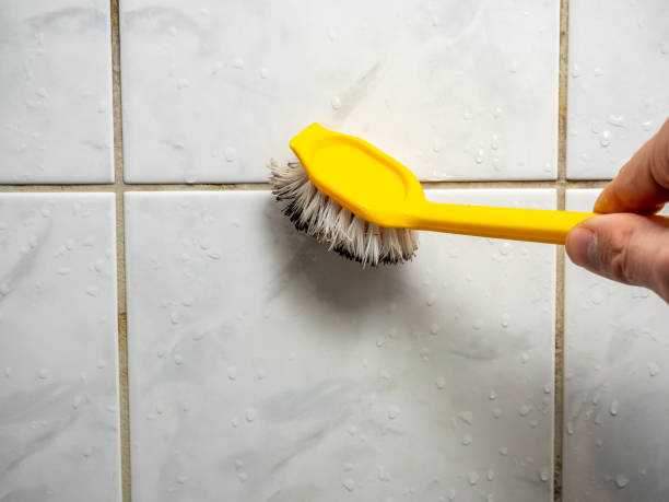 Best Preventive Mold Services in Brookdale, CA