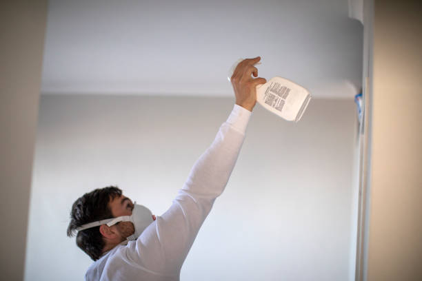 Best Kitchen Mold Remediation in Brookdale, CA